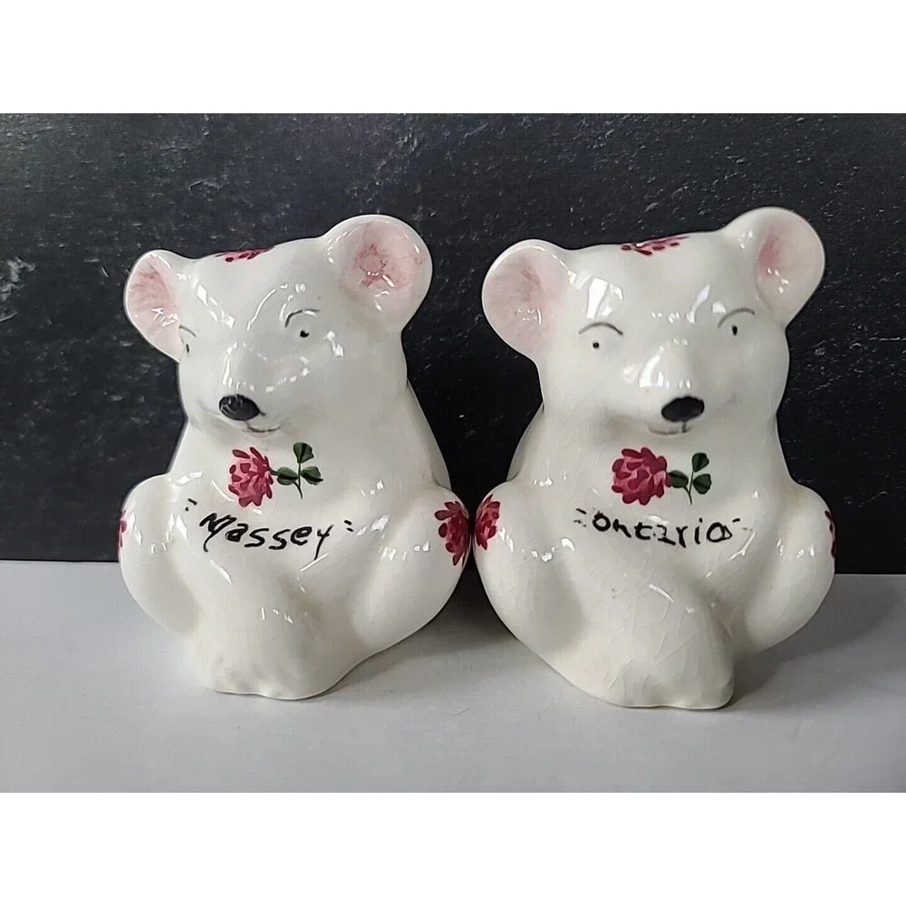 Plichta London England Floral Bear Ceramic Salt And Pepper Shakers Vintage, READ